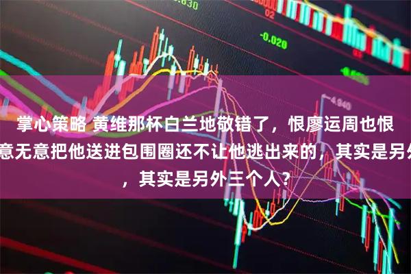 掌心策略 黄维那杯白兰地敬错了，恨廖运周也恨错了：有意无意把他送进包围圈还不让他逃出来的，其实是另外三个人？