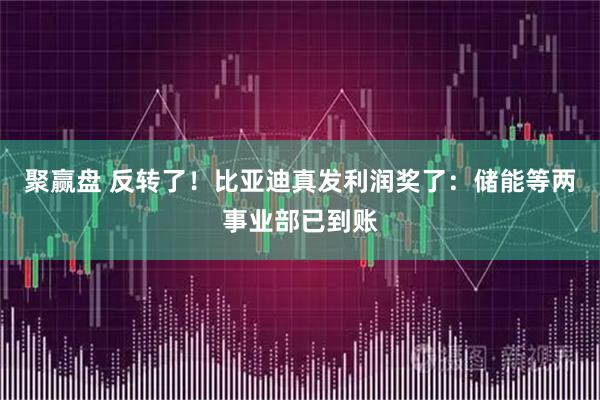 聚赢盘 反转了！比亚迪真发利润奖了：储能等两事业部已到账
