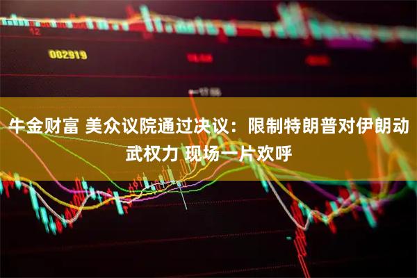 牛金财富 美众议院通过决议：限制特朗普对伊朗动武权力 现场一片欢呼