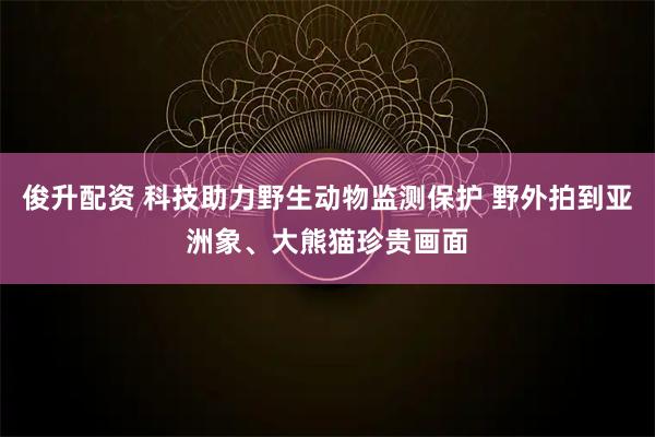 俊升配资 科技助力野生动物监测保护 野外拍到亚洲象、大熊猫珍贵画面